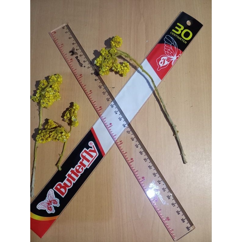 

(SATUAN) PENGGARIS PLASTIK 30CM BUTTERFLY