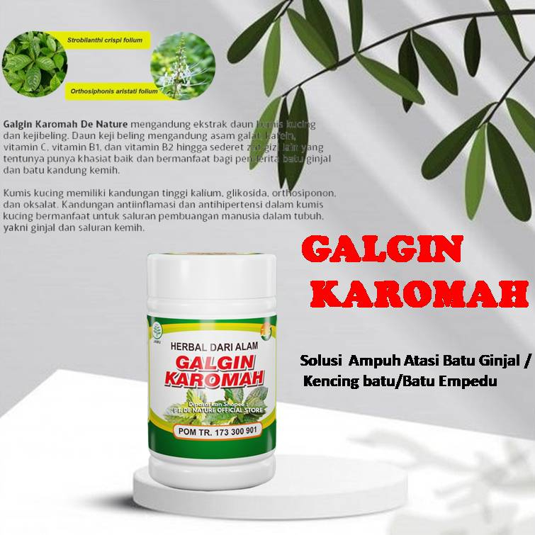 Galgin Karomah Obat Ampuh Atasi batu Ginjal / Kencing Batu Tuntas Dalam Waktu singkat