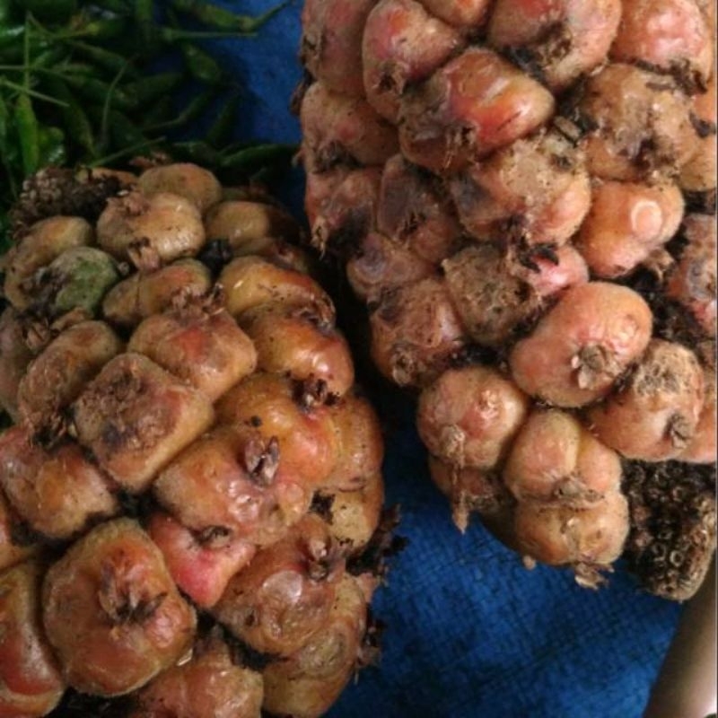 

asam sihala/asam cikala - 500gram