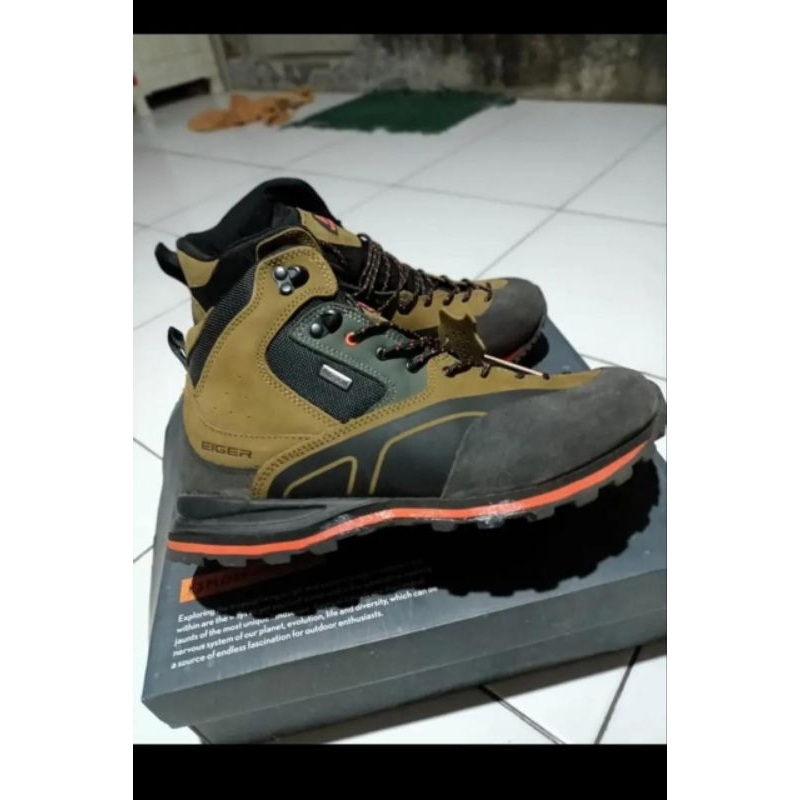 sepatu eiger tarangtula original