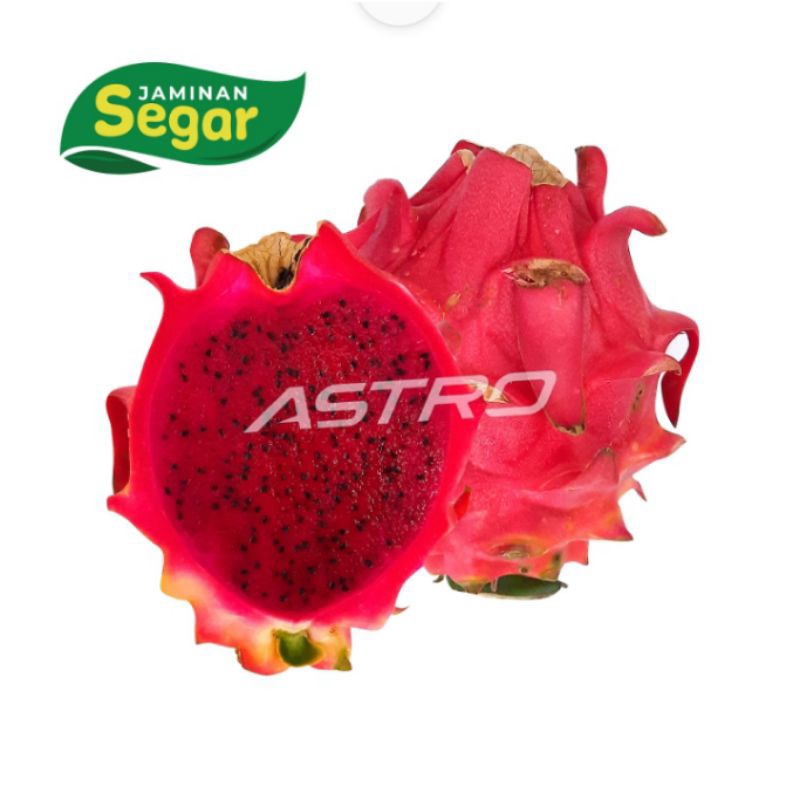 

Buah Buah Naga Merah 1 pcs Astro Basics