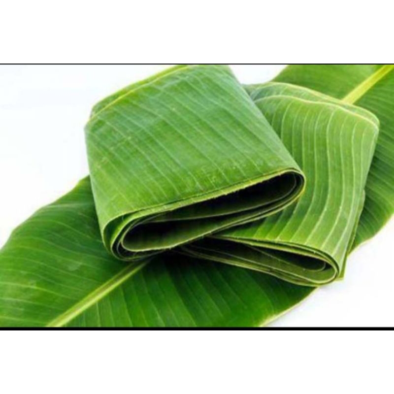 

promo daun pisang muda 2lembar