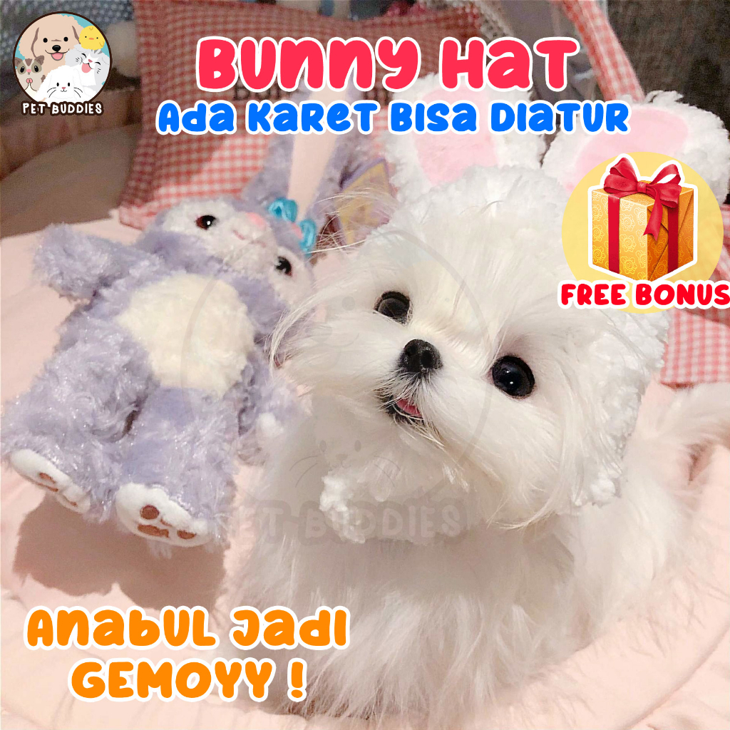 [FREE BONUS]Topi Kelinci Kucing/Anjing Cat Bunny Ears Lucu