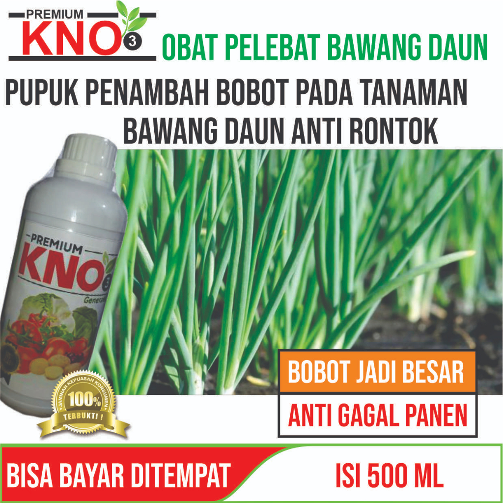 {PUPUK BAWANG DAUN TERBAIK} isi 500 ML KNO3 PREMIUM OBAT PENYUBUR BAWANG DAUN Mujarab Tahan di Musim
