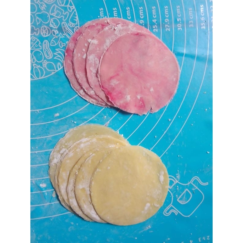 

KULIT DIMSUM WARNA WARNI