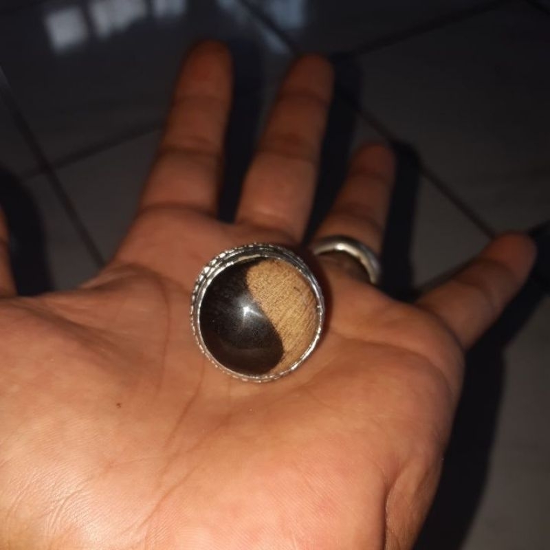 fosil kelor hitam motip