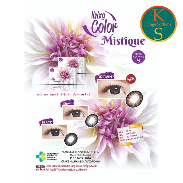 Softlens Mistique MINUS 5.00 - 6.00 / Softlens MINUS
