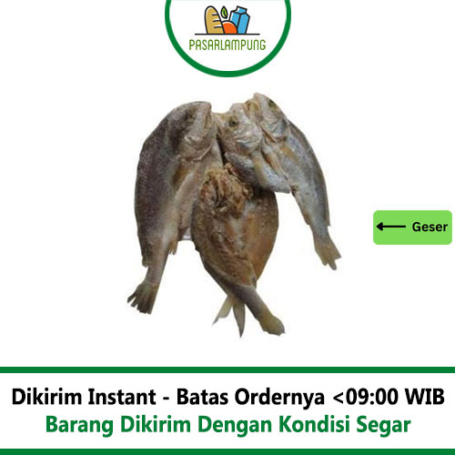 Ikan Asin Kepala Batu 250 Gr Pasar Lampung