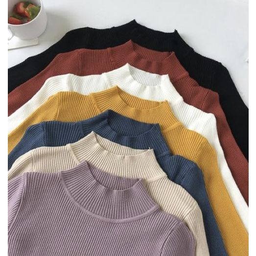 Daleman rajut Turtle neck korean style Tangan Panjang Rajut wanita Pretty