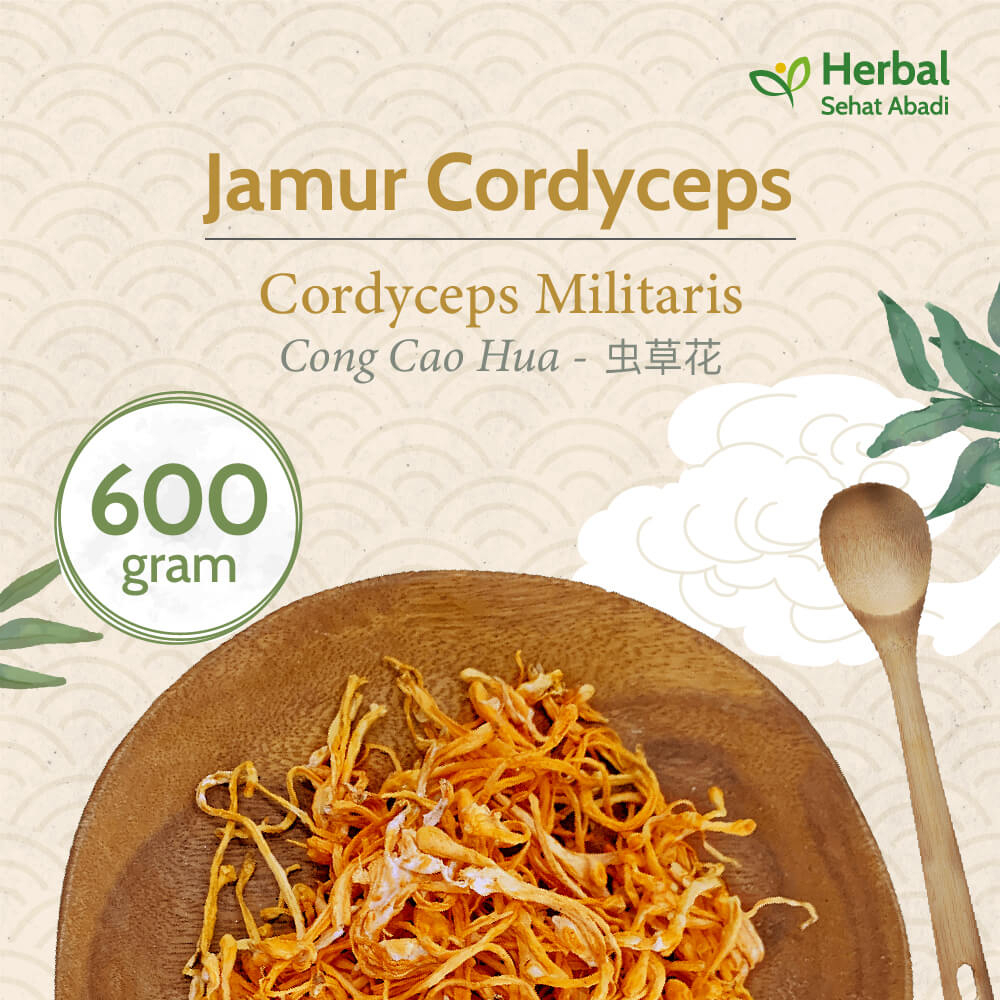 

Cordyceps Militaris 600 gram / Bunga Cordyceps / Chong Cao (虫草花)