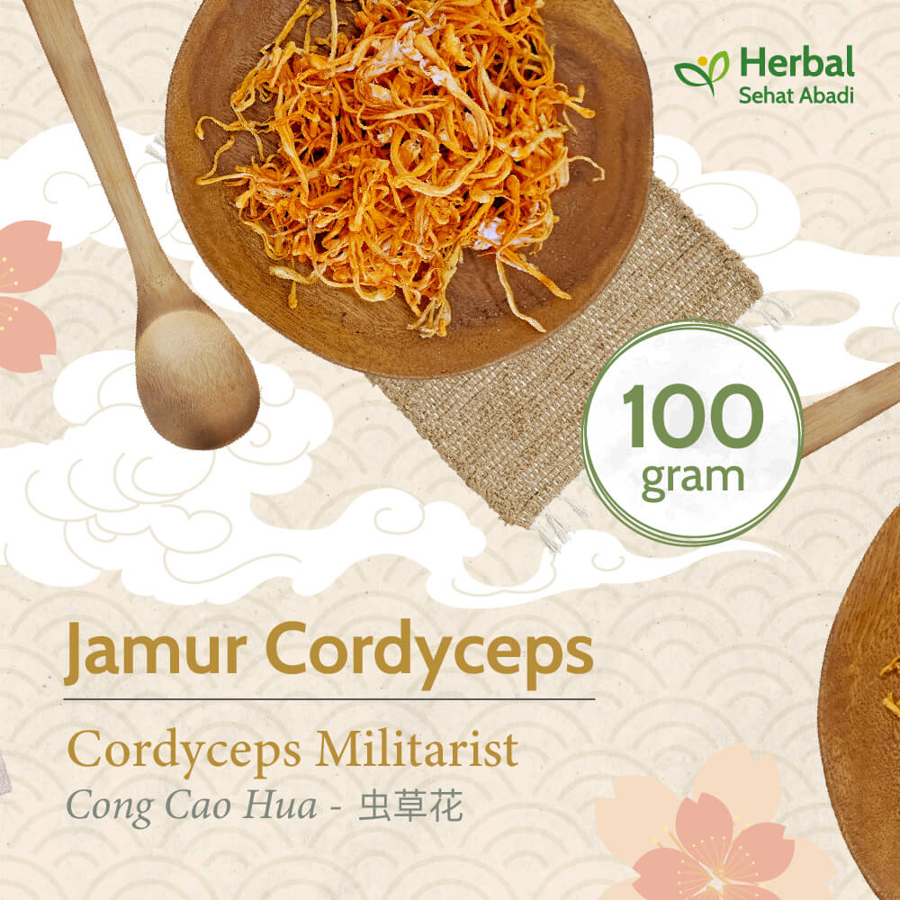 

Cordyceps Militaris 100 gram / Bunga Cordyceps / Chong Cao (虫草花)