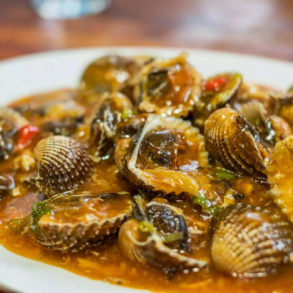 

Kerang Dara