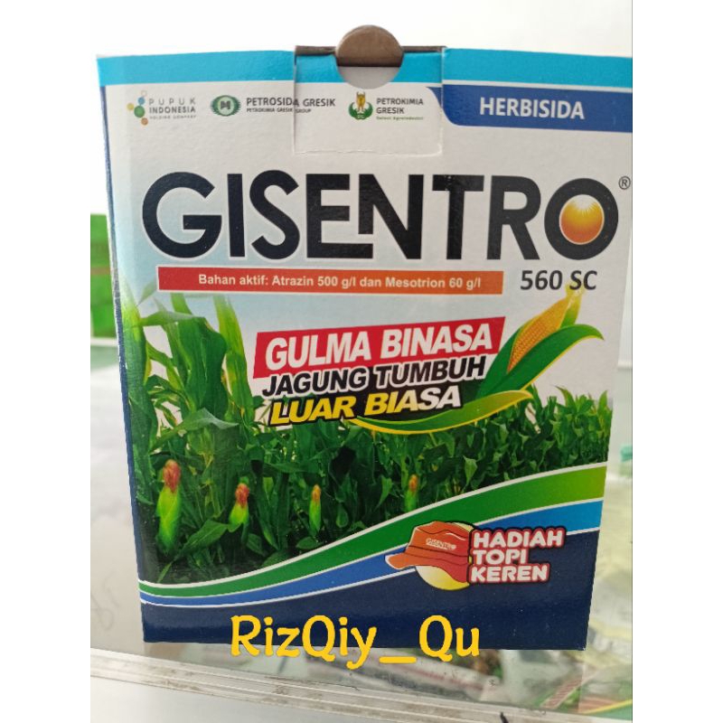 GISENTRO 250Ml