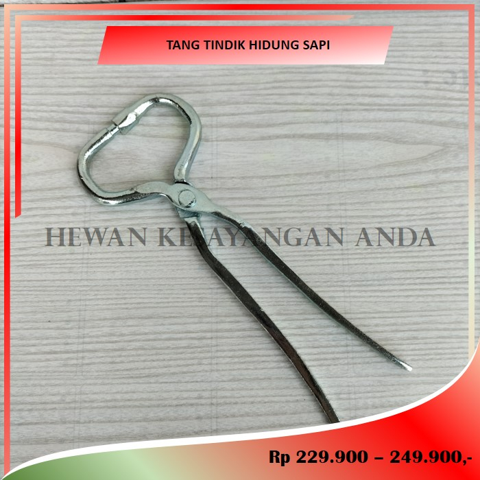 Tang Hidung Sapi Alat Tindik Hidung Sapi Kerbau dll