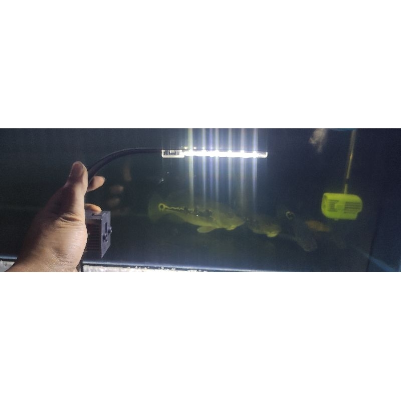 lampu jepit aquarium 3x ganti warna lampu 10watt / lampu jepit aquarium / lampu aquarium / lampu gantung