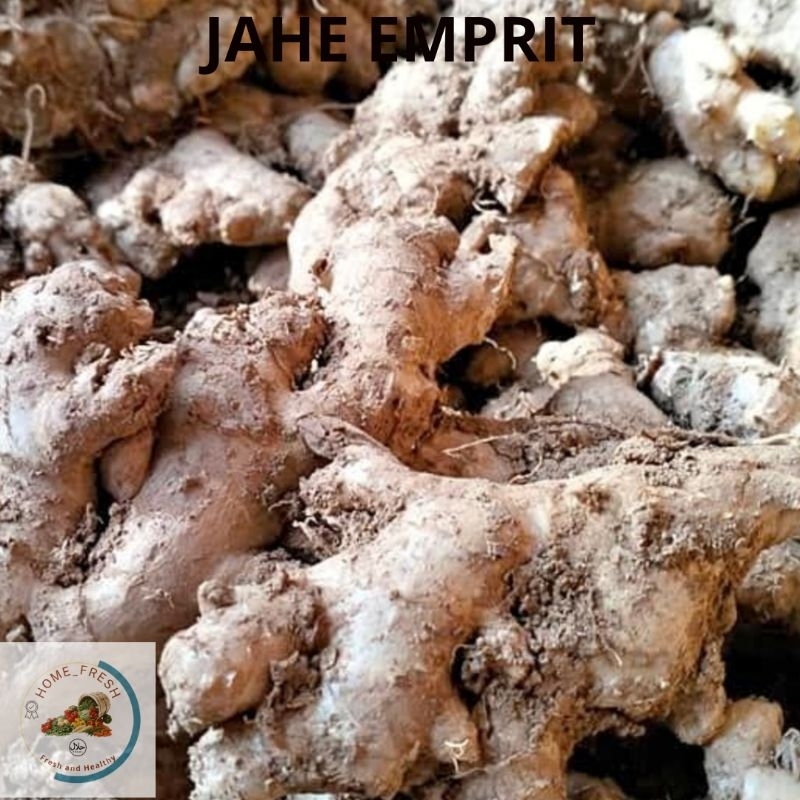 

Jahe Emprit Lokal Pedas 1 KG