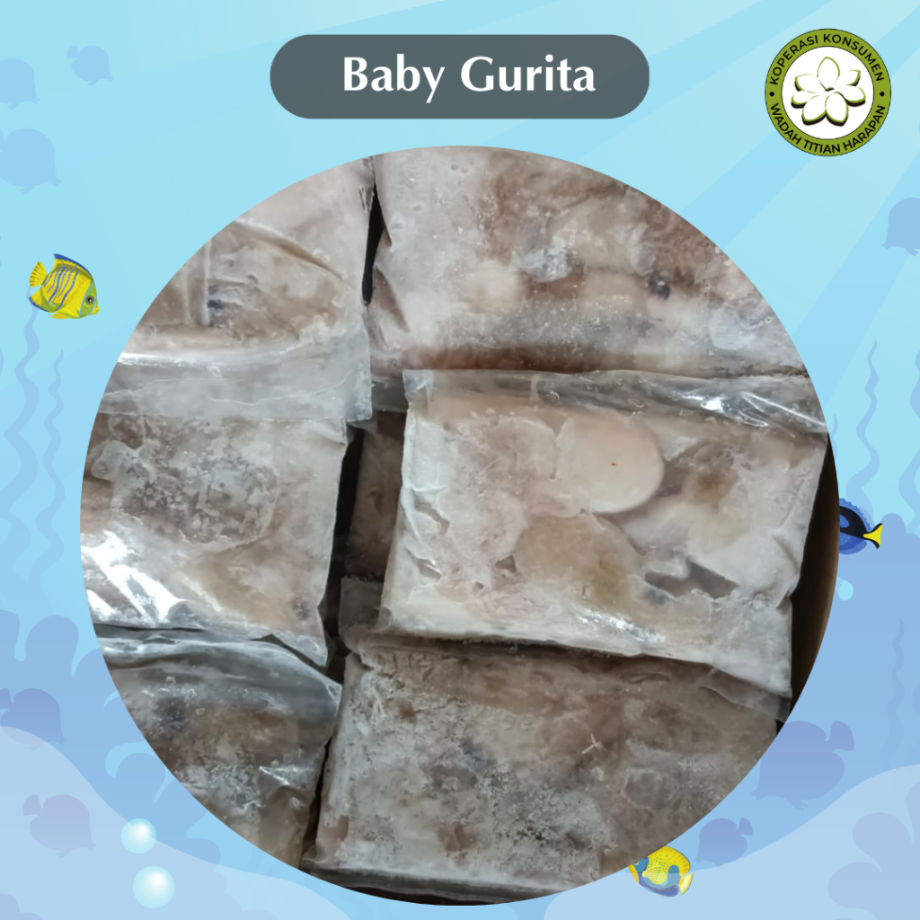 

Baby Gurita Berkualitas 500 gr