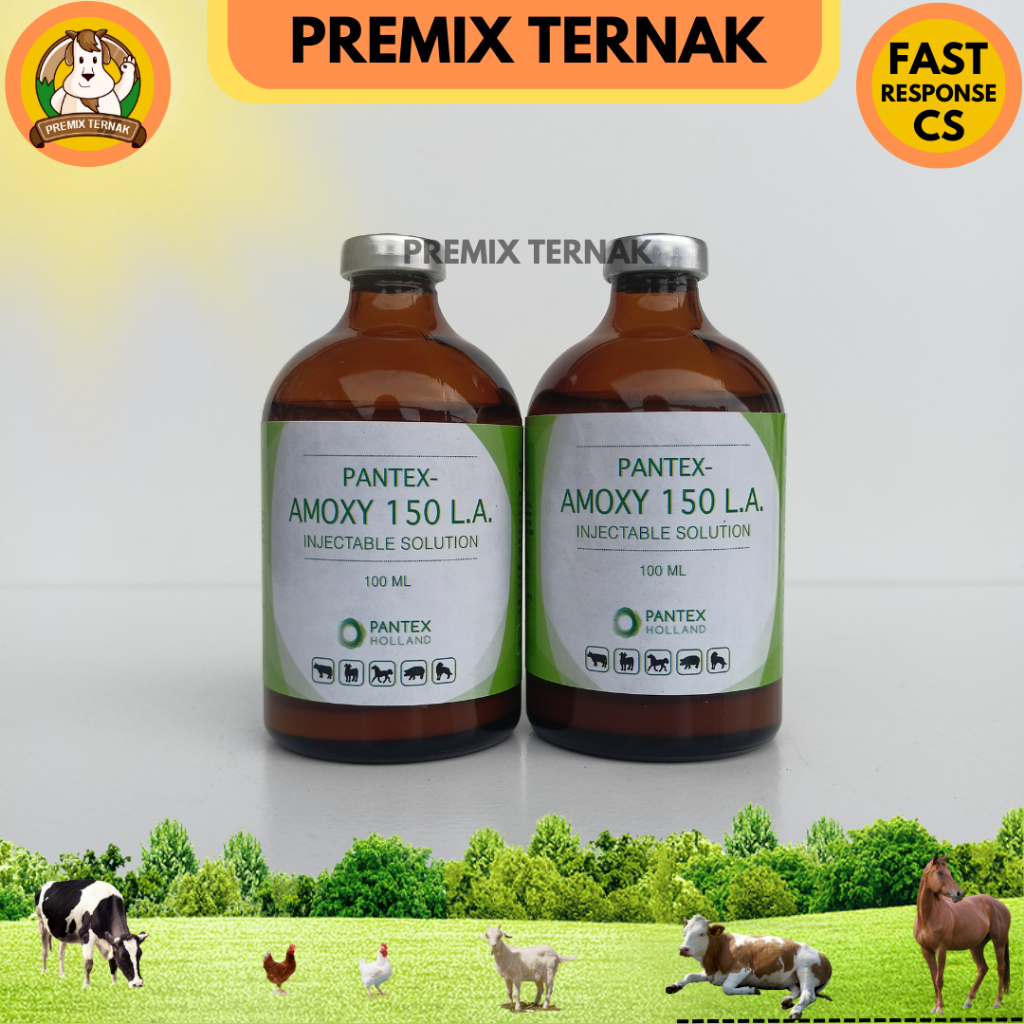 PANTEX AMOXY LA 150 100 ml - Amoxy LA 100 ml - Mirip Betamox 100 ml