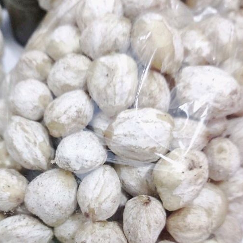

Kemiri 1KG Murah