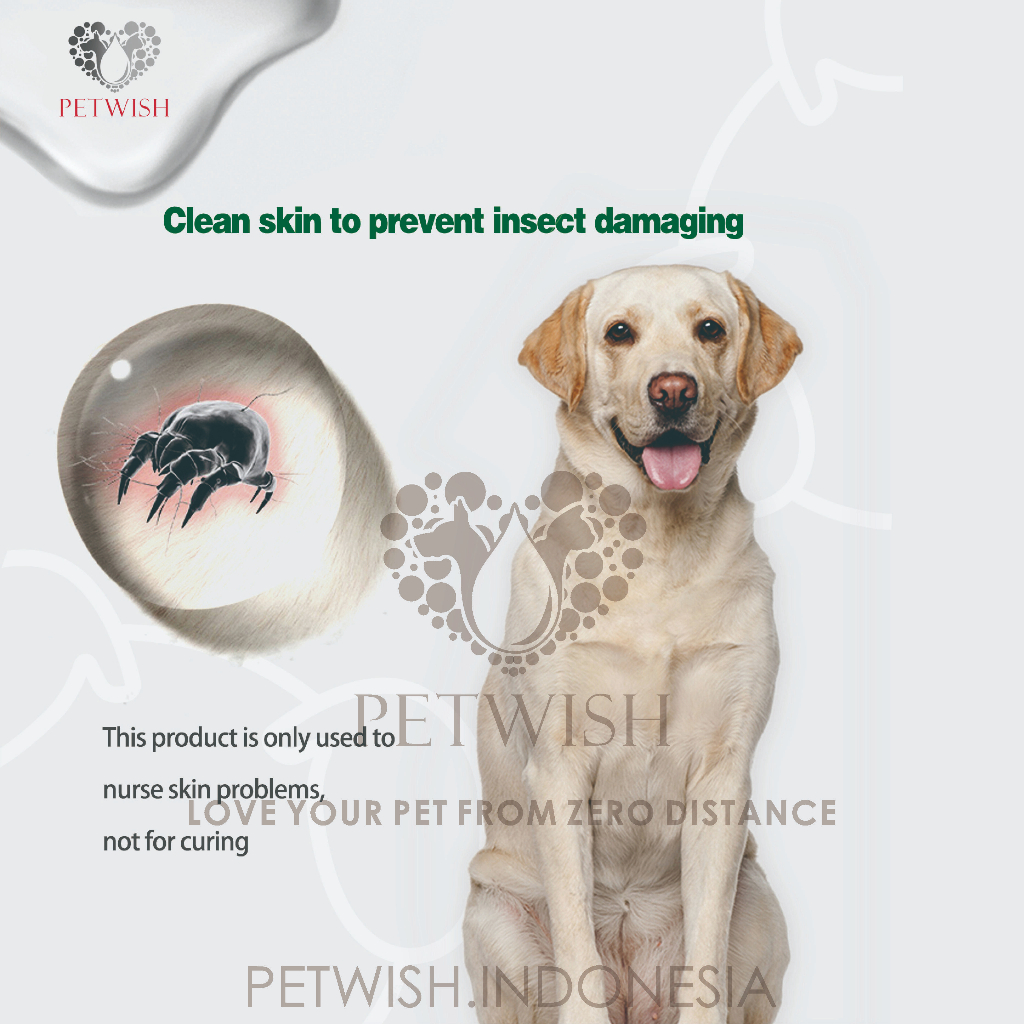 Petwish Shampo Anjing 750ML - Beigi Labrador Retriever - Dog Shampoo