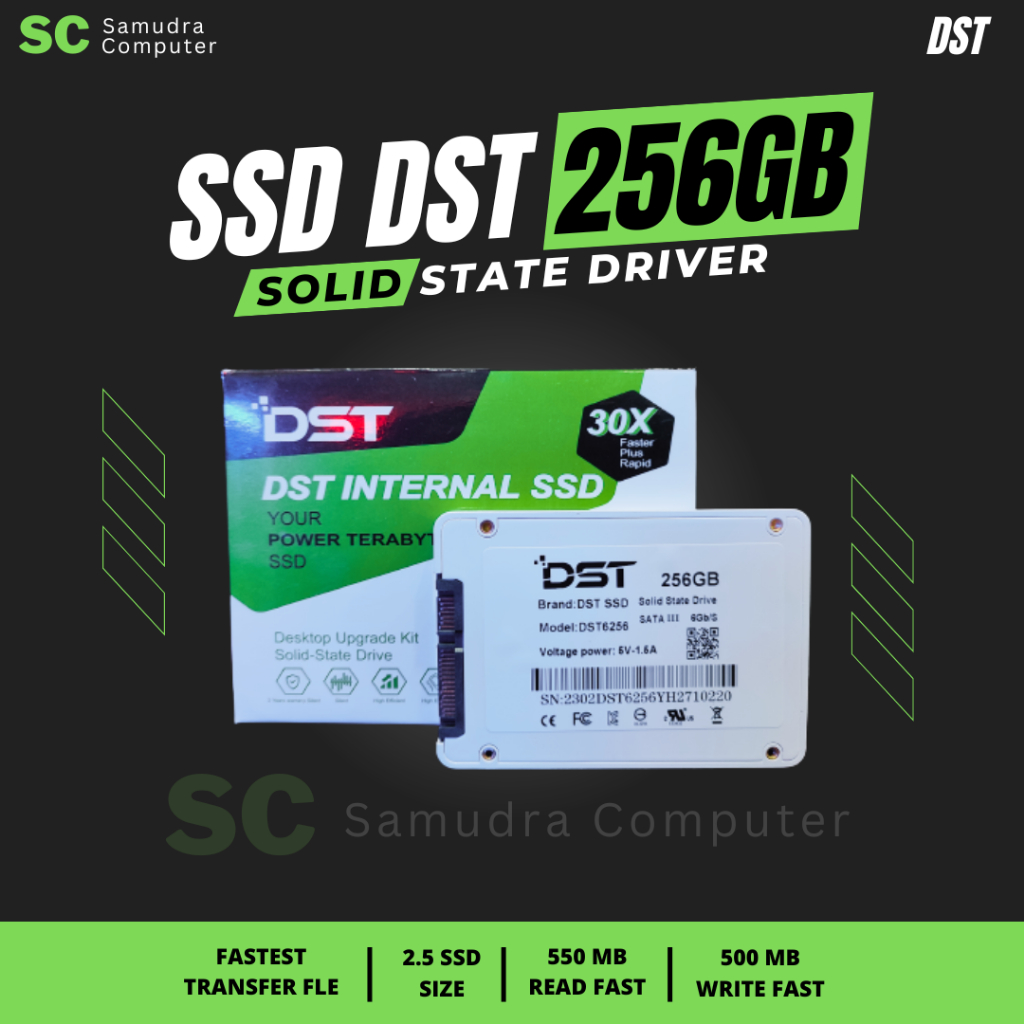 SSD DST 256GB Sata III Garansi Resmi