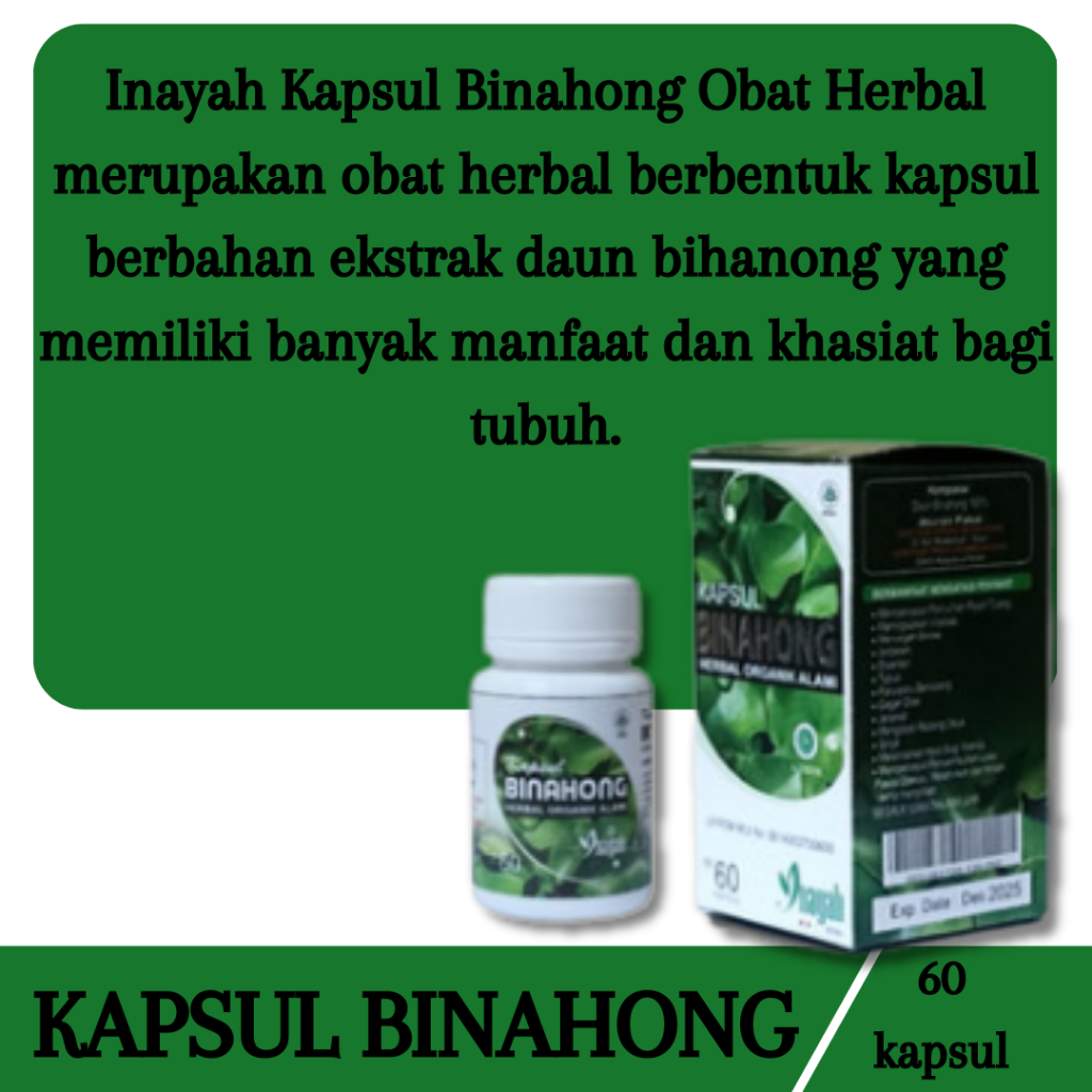 

obat herbal binahong,obat herbal banyak manfaat isi 60 butir