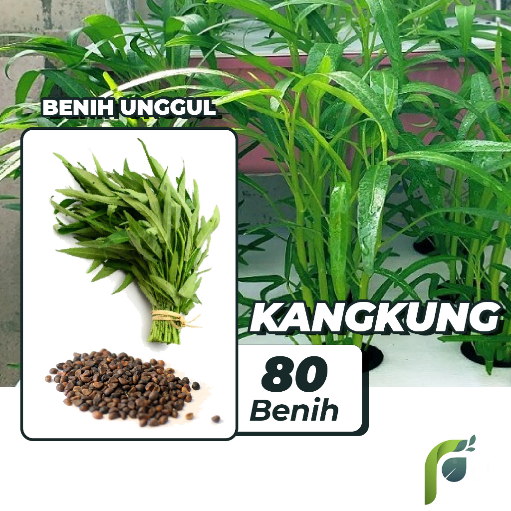 Benih Bibit Kangkung 80 Benih Seribuan PG KDR