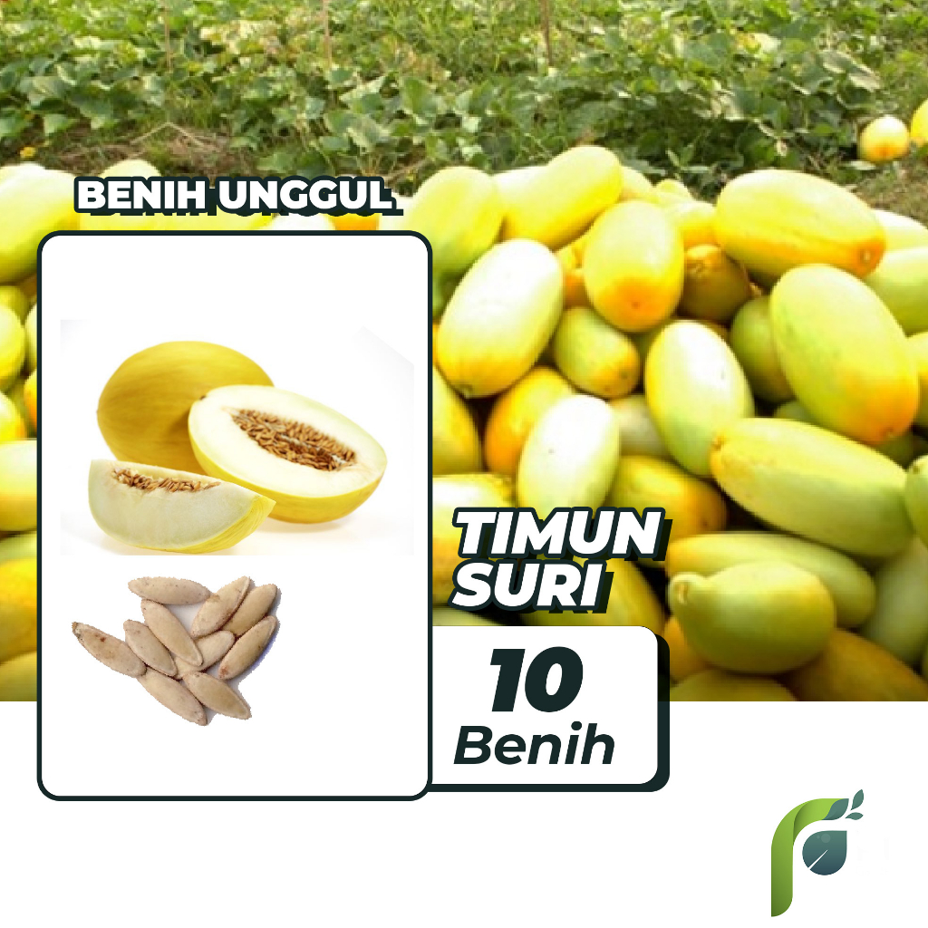 Benih Bibit Timun Suri 10 Benih Dua Ribuan PG KDR