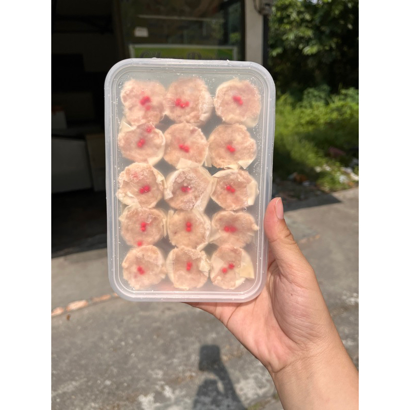 

dimsam ayam medan isi 15 free saos