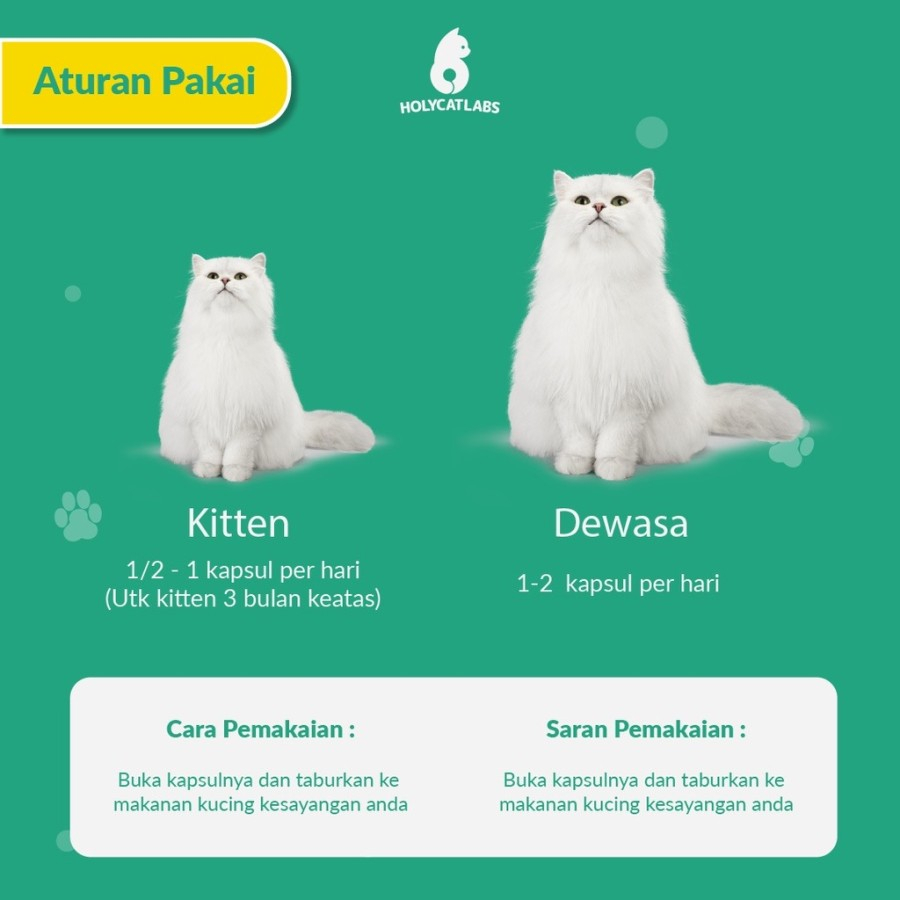 Royal Care E-Fat Kemasan Hemat isi 5 Kapsul Vitamin Penggemuk Kucing