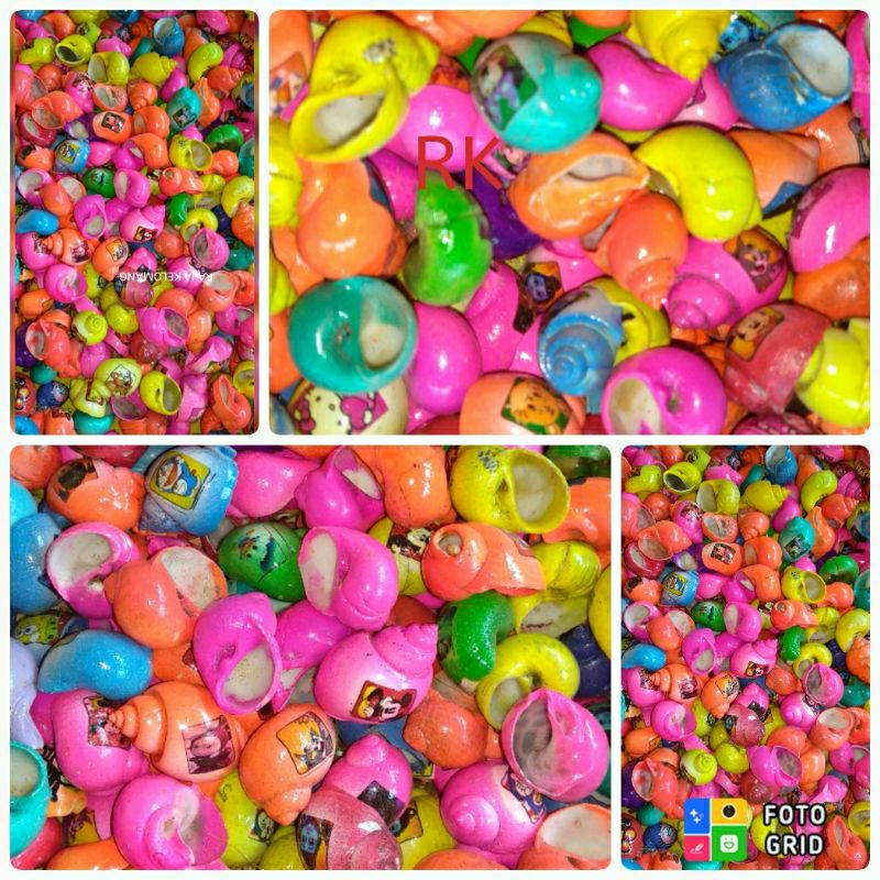 (JOS) PROMO PAKET 678 CANGKANG KELOMANG UMANG WARNA MURAH