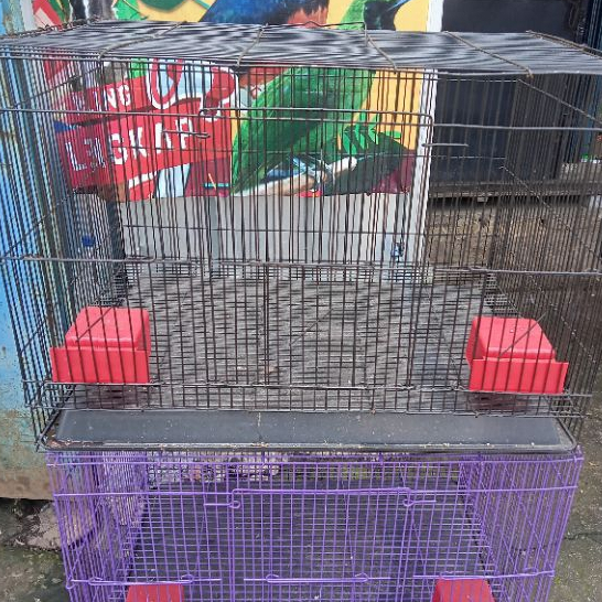 Kandang Besi Kotak Serba Guna Ukuran 40x40x60 +Cepuk Tangkringan