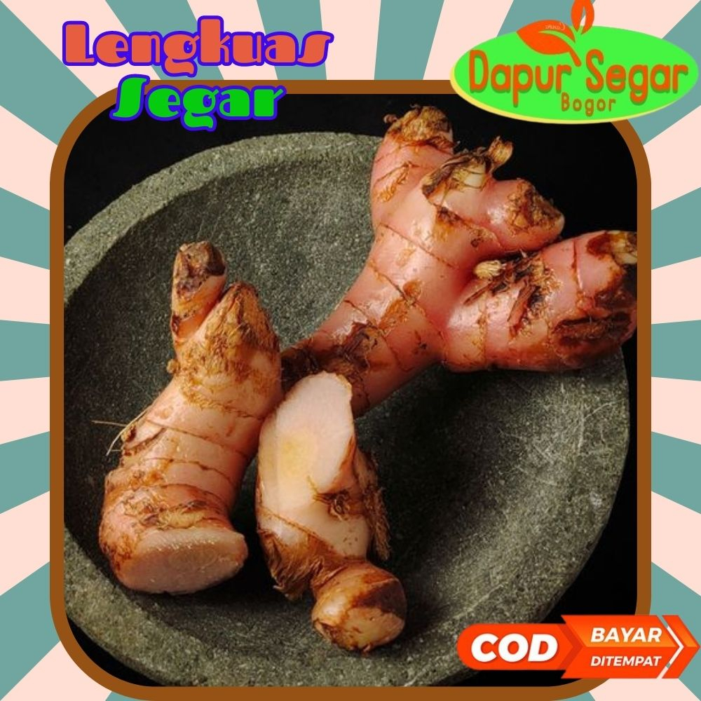 

lengkuas laos laja 500gr