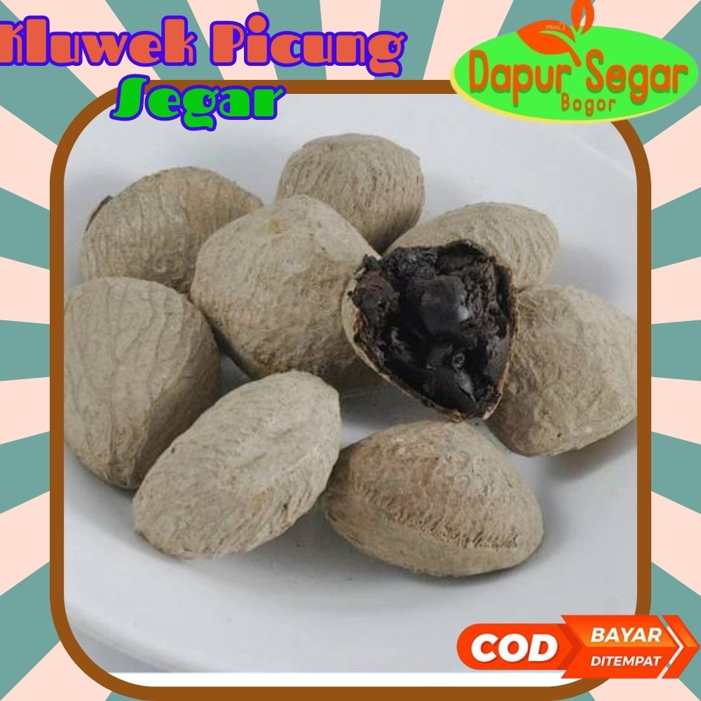 

Kluwak Kluwek Picung Kepayang Rawon 1kg