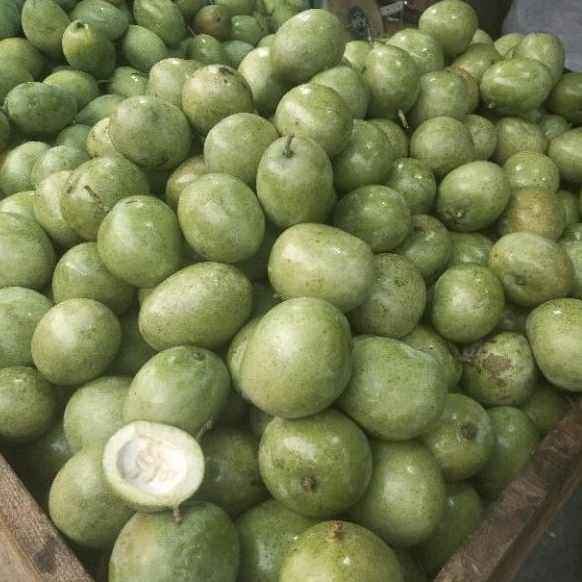 

MANGGA TELOR /MANGGA MUDA BELAH BIJI PER 1 KG