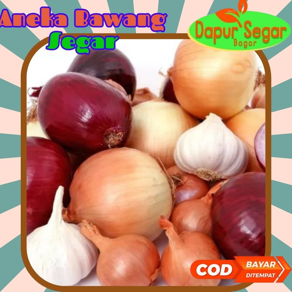 Aneka Bumbu Masak Bawang hemat 500gr Bawang bombai bombay 1kg bawang putih honan 1kg bawang putih cu