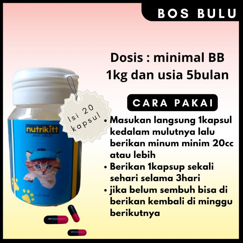 nutrikitt obat kapsul virus calici panlue distemper flu batuk pilek diare muntah kucing 20kapsul