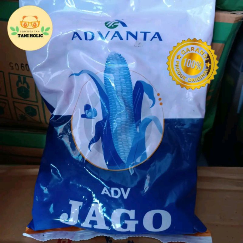 Benih Jagung ADV JAGO