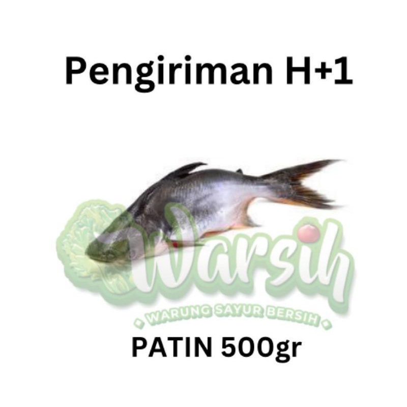 

WARSIH • IKAN PATIN SEGAR 500GR