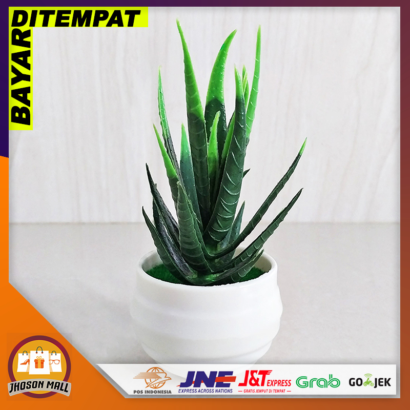 JM Tanaman Hias Mini Lidah Buaya Import Tanaman Hias Plastik Tanaman Hias Dekorasi Artificial PBP22