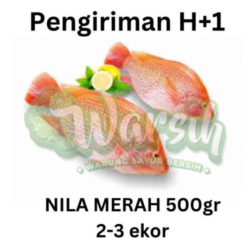 

WARSIH • IKAN NILA MERAH SEGAR 500GR