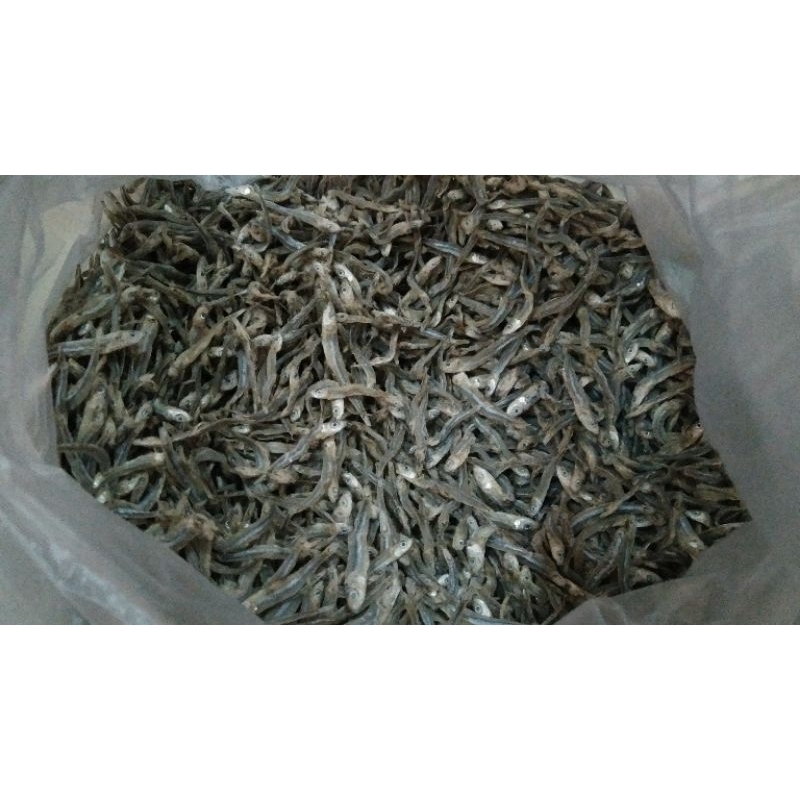 

Ikan teri/ikan asin asli karimunjawa per 1 ons