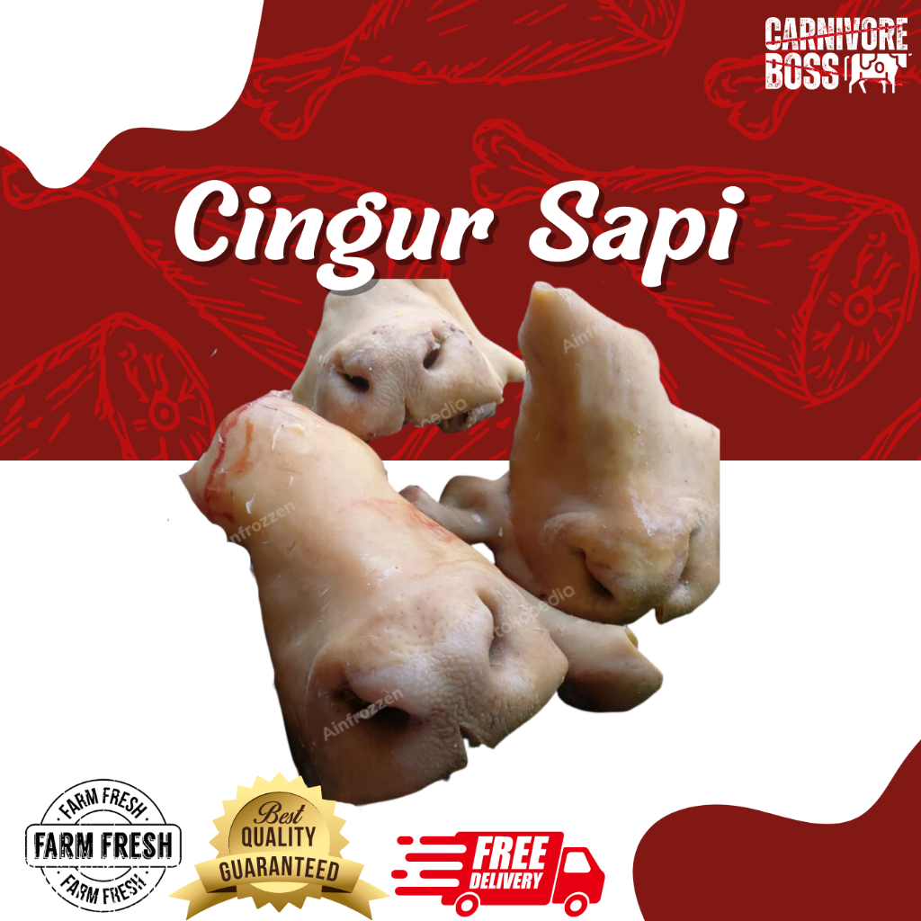 

CINGUR SAPI SUPER FRESH 2-3KG / CINGUR SAPI SEGAR REBUS / CINGUR SAPI / CINGUR