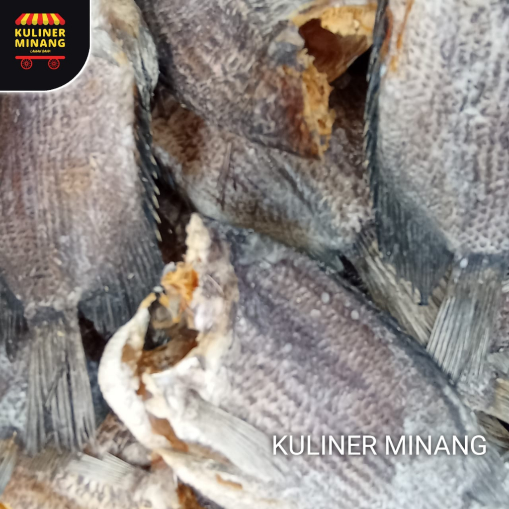 

Ikan Sapek Gadang 300g Oleh Oleh Cemilan Makanan Payakumbuh Padang Khas Pariaman Jajanan urang awak Snack Kuliner Minang Kabau Murah Gurih Renyah Spicy Resmi 100% Halal Original AX01