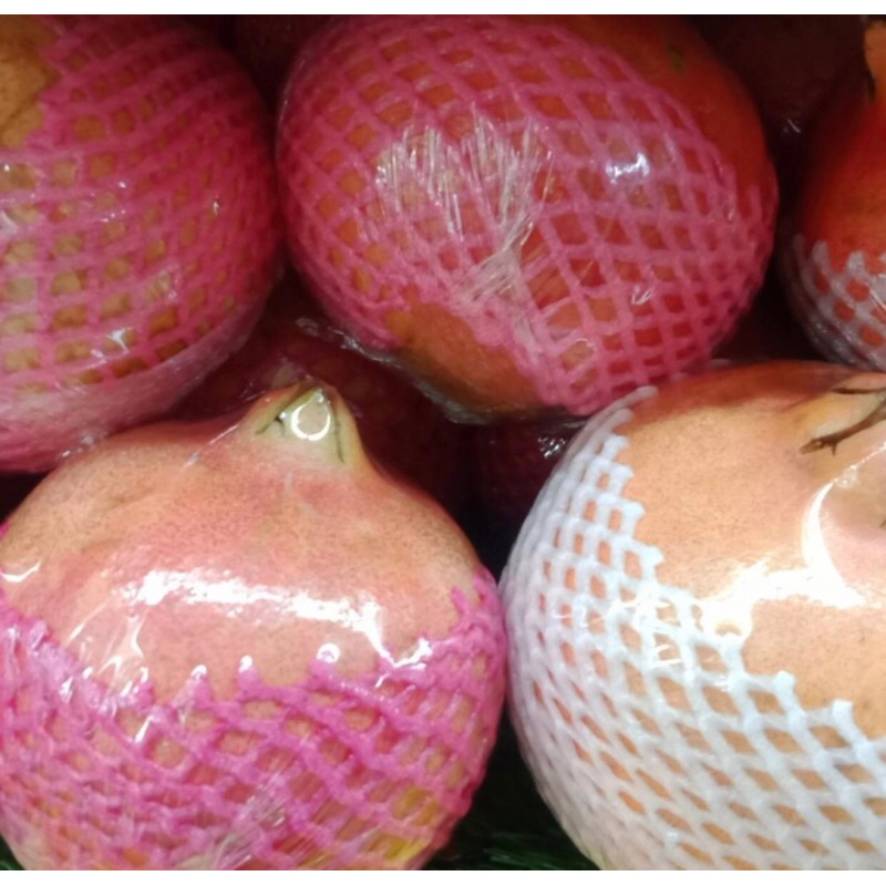 

Buah Delima Peru Jumbo segar 1 kg