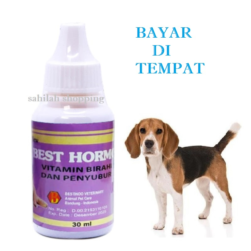 OBAT ANJING BIRAHI PENYUBUR KANDUNGAN BEST HORMO DOG VITAMIN ANJING CEPAT KAWIN AMPUH