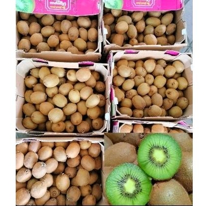 

Kiwi Hijau Segar