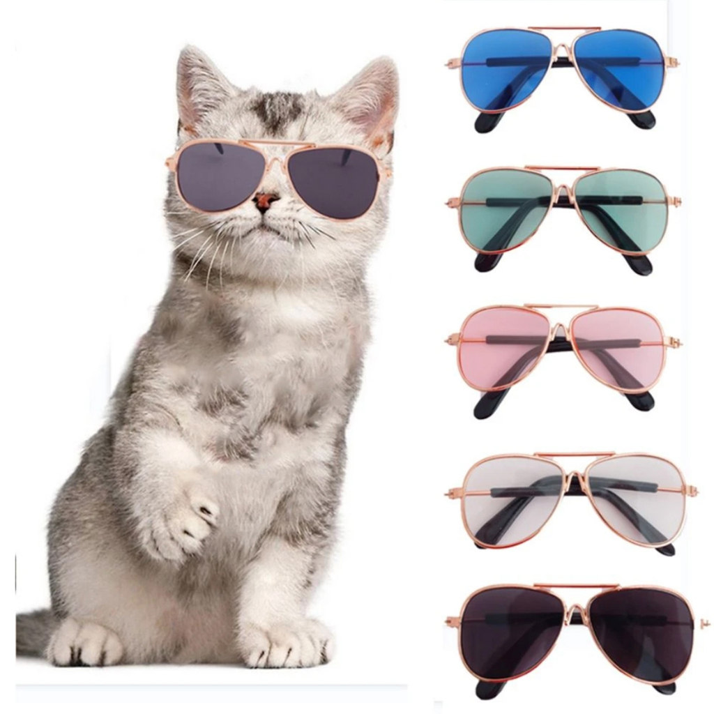 Kacamata Kucing- Eyeglass for Cat/Kitten - Grooming Kucing Ala Tiktok