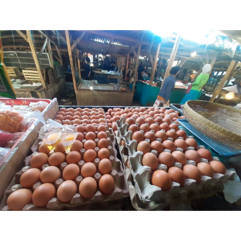 

telur ayam negeri per/1kg