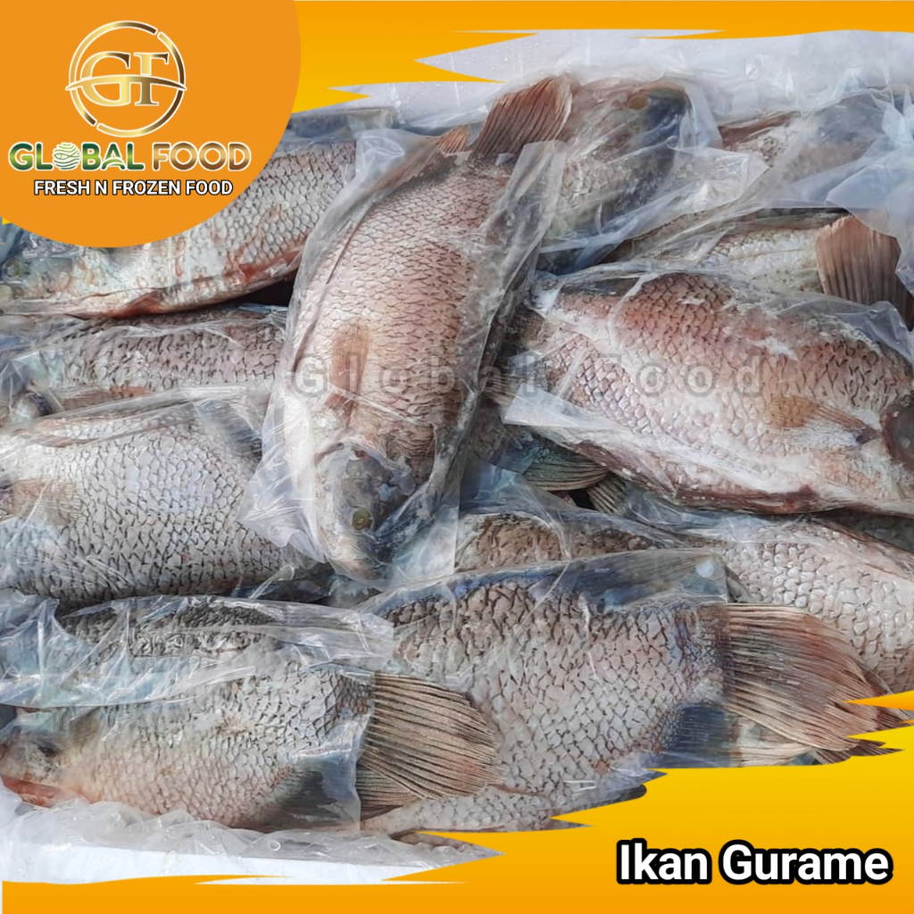 

Ikan Gurame Fresh Frozen (Jual per kg)